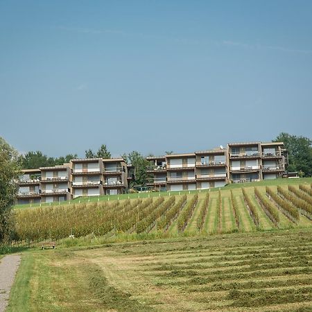 Wohnen Im Wein Lägenhet Ehrenhausen Exteriör bild
